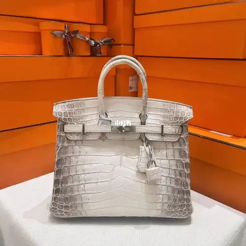 t刻 配件:锁钥匙#奢侈品包包  #爱马仕  #爱马仕喜马拉雅  #贵妇包包