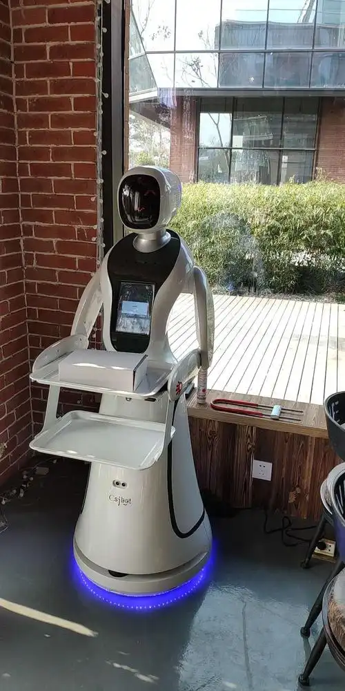 漳州送餐机器人制造厂家 贴心服务 昆山新正源机器人智能科技供应