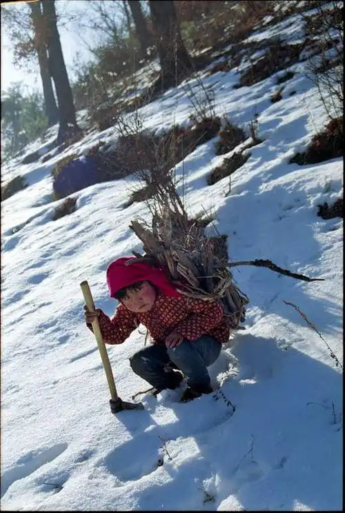 穷孩子的真实生活