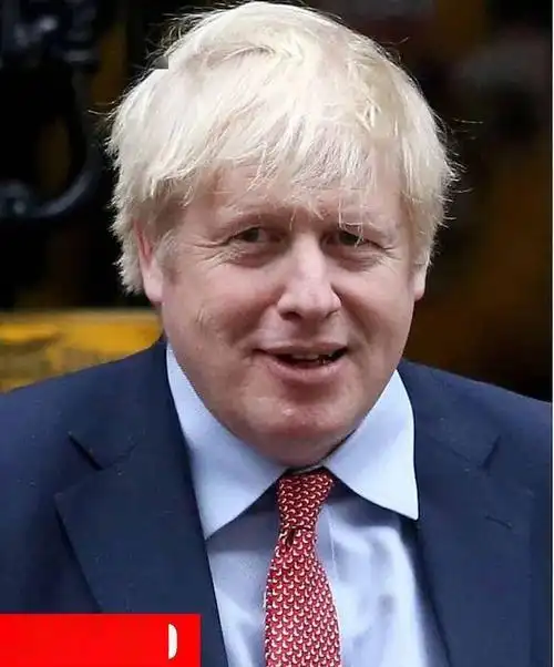 鲍里斯"淡黄而蓬松的头发"日渐稀疏,是新冠搞得?