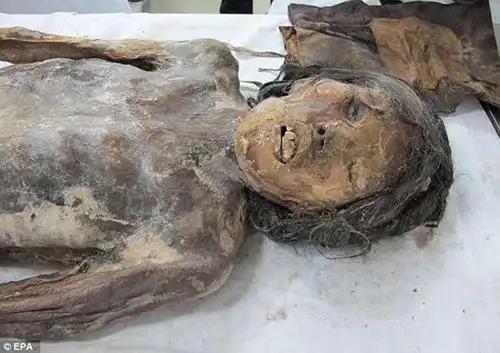 韩发现500年女木乃伊 手袋现身陪葬品中(图)