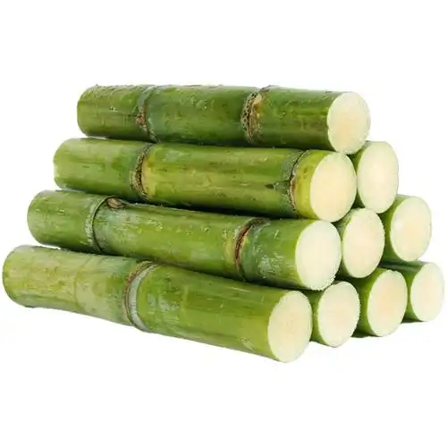 正宗陶山甘蔗现青皮新鲜绿皮甘甜手撕脆皮果蔗温州特产5斤礼盒5斤礼盒