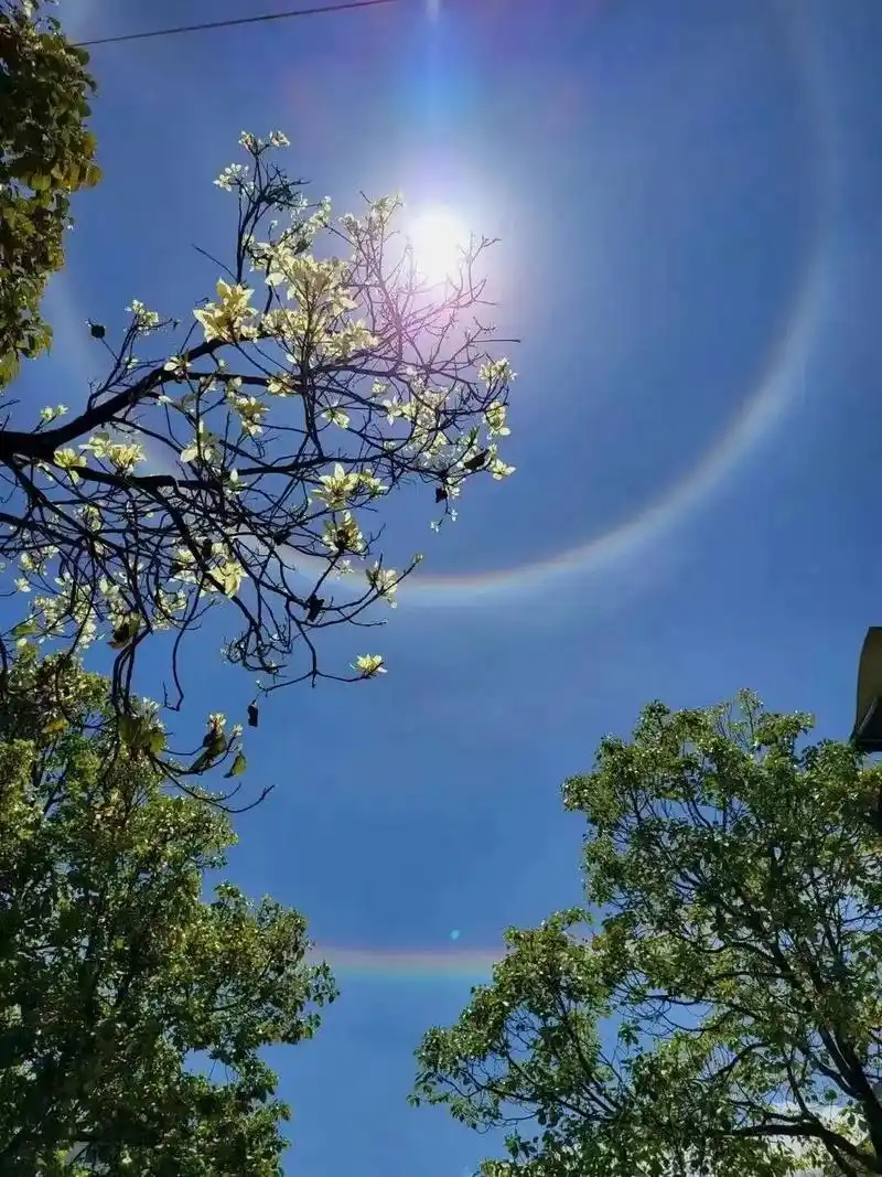 雨过天晴,天空出现太阳双日晕,是高空的卷层云中的冰晶经过太阳 - 抖