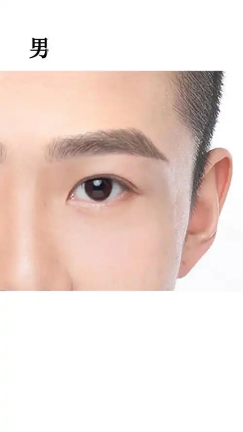男士眉毛的参考比例干货分享