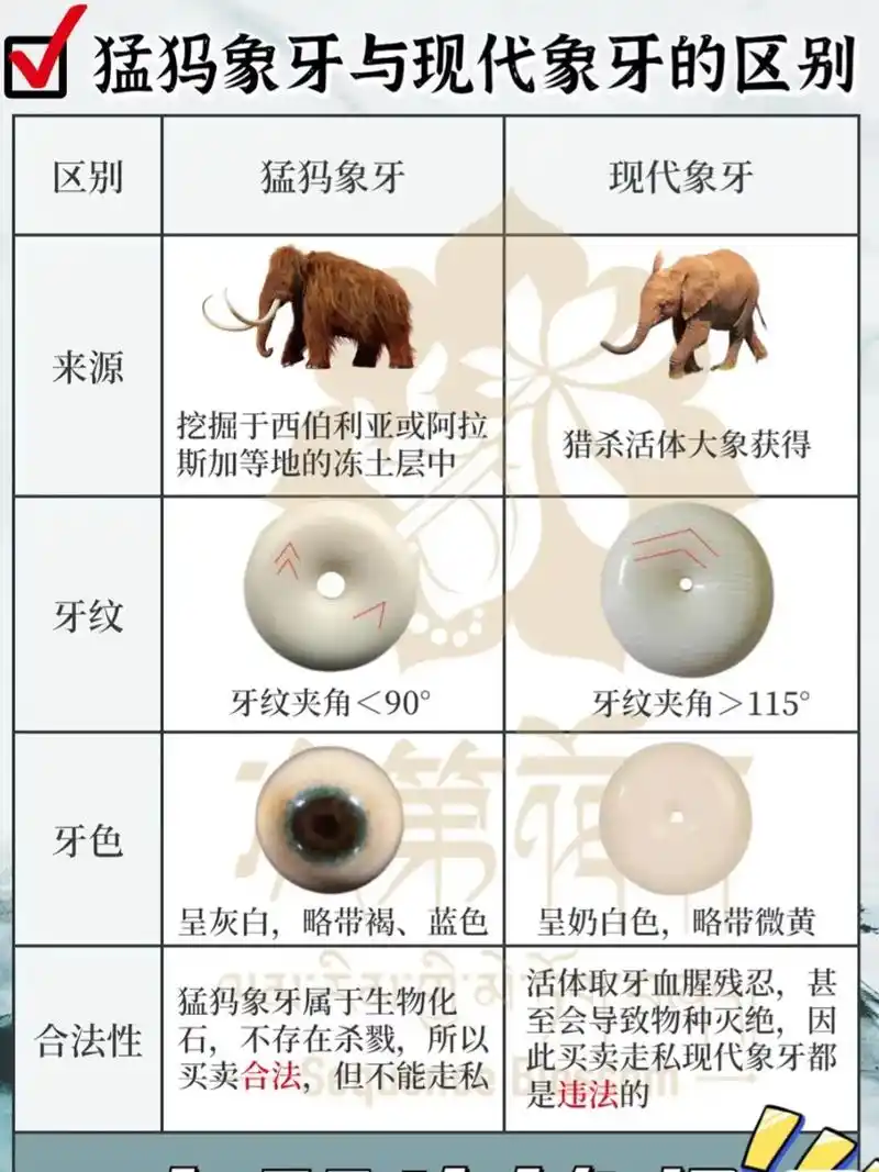 猛犸象牙 #文玩 #纯手工雕刻  - 抖音