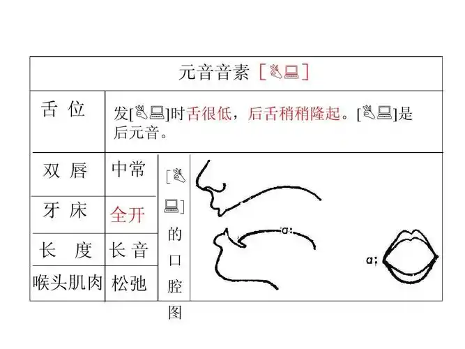 sounds in isolation(the back vowels)ppt 元音音素[ :] 舌 位 双 唇