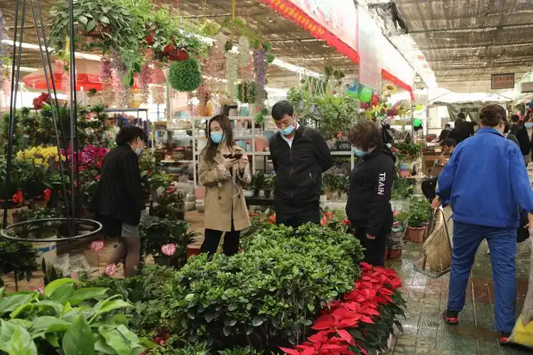 3月16日,阿克苏市金桥花鸟鱼市场内购销两旺.记者 杨硕 摄