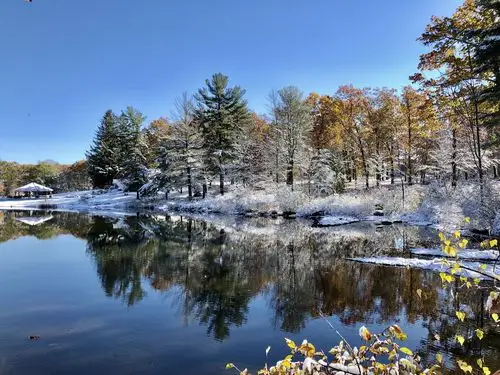 待到冰雪融化时