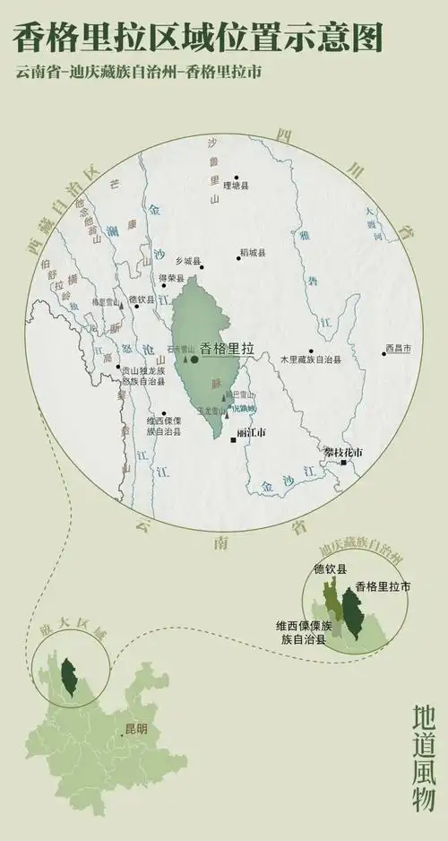 "菌中之王"诞生地,为什么是香格里拉?