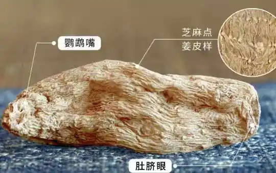 真假天麻图片对比