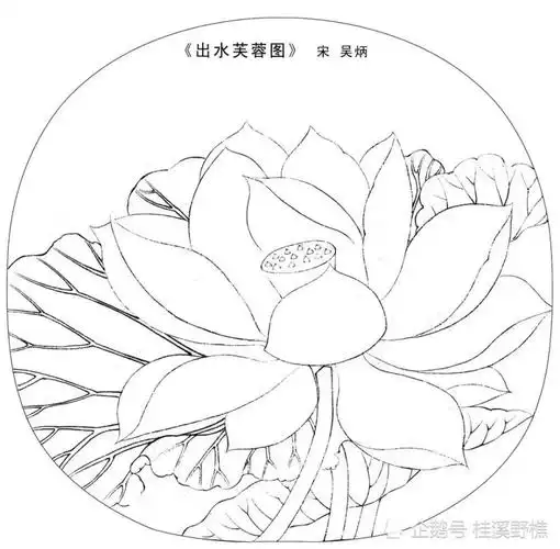 初学者怎么画花卉扇面?从线条到造型教你画,简单易学,收藏临摹_腾讯新