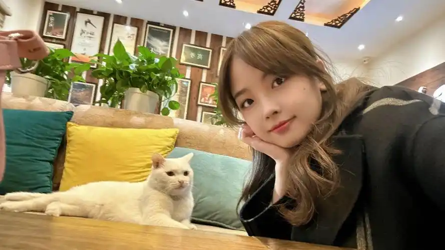 【王冰冰】小猫爬树上下不来了,咋整?