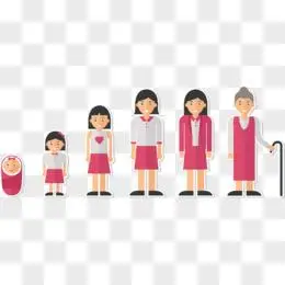矢量女人成长轨迹