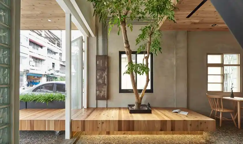 室内的树,设计元素,绿植,特辑