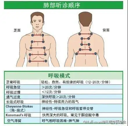肺部听诊顺序呼吸科的看过来