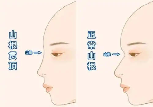 大家可以仔细观察一下 不管是什么朝代的佛像 佛像的鼻子 皆是伏羲鼻