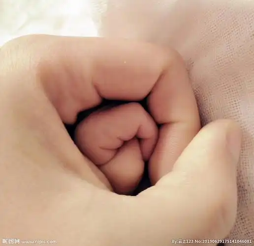 格式:jpg颜色:rgb10共享分举报收藏立即下载关 键 词:手 大手握小手