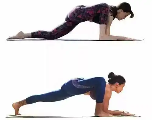 每日一练瑜伽之蜥蜴式「二」0417