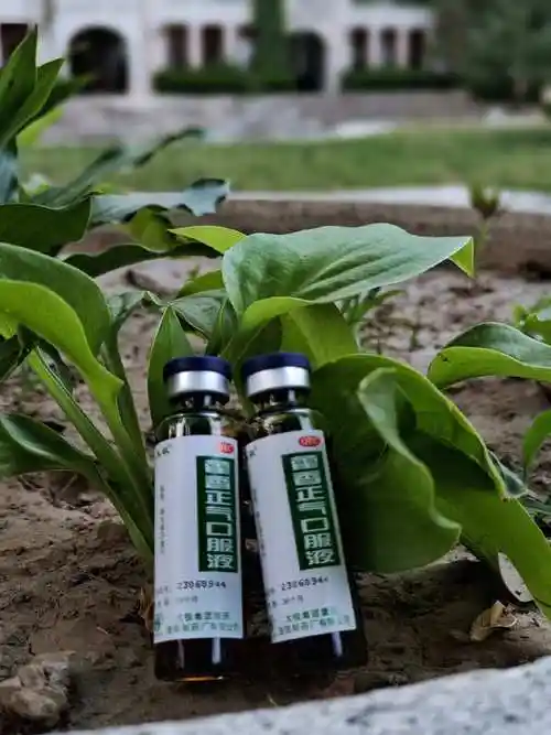 一剂藿香去湿绝绝子