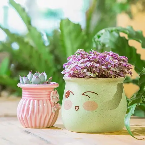 可爱陶瓷花盆小多肉栽花盆清新复古植物粗陶简约创意