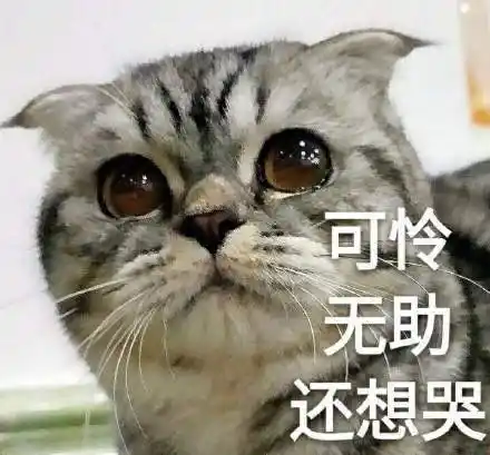 现实被骂 可怜无助还想哭 - 现实被骂vs网上被骂