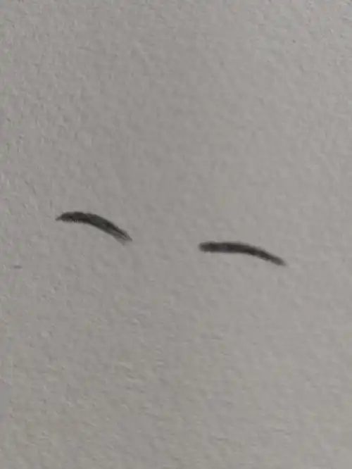 侧面眼睛步骤适合画大小眼和眼睛不对称的