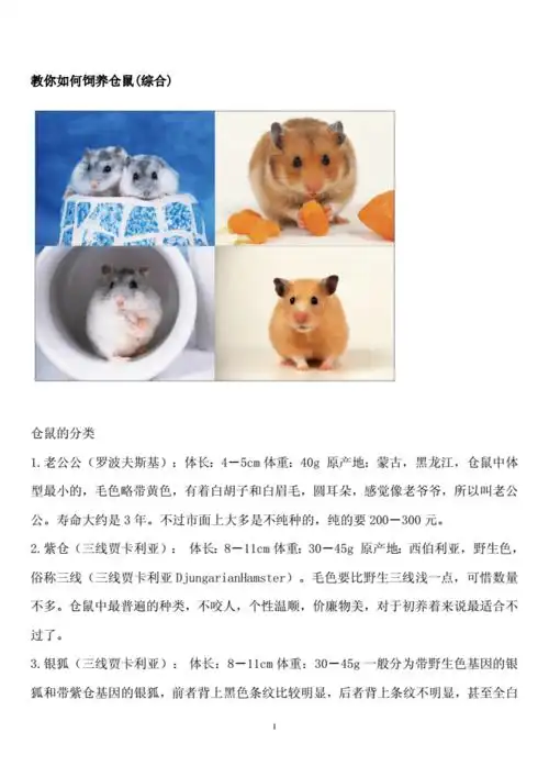 教你如何饲养仓鼠是.doc 42页