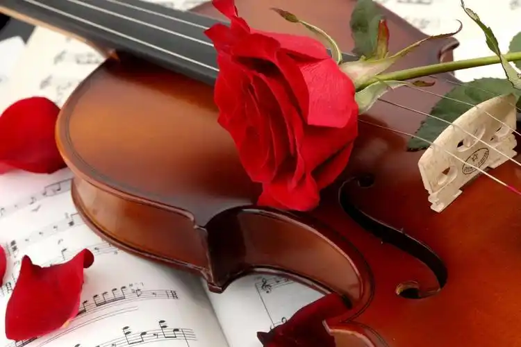 小提琴壁纸壁纸