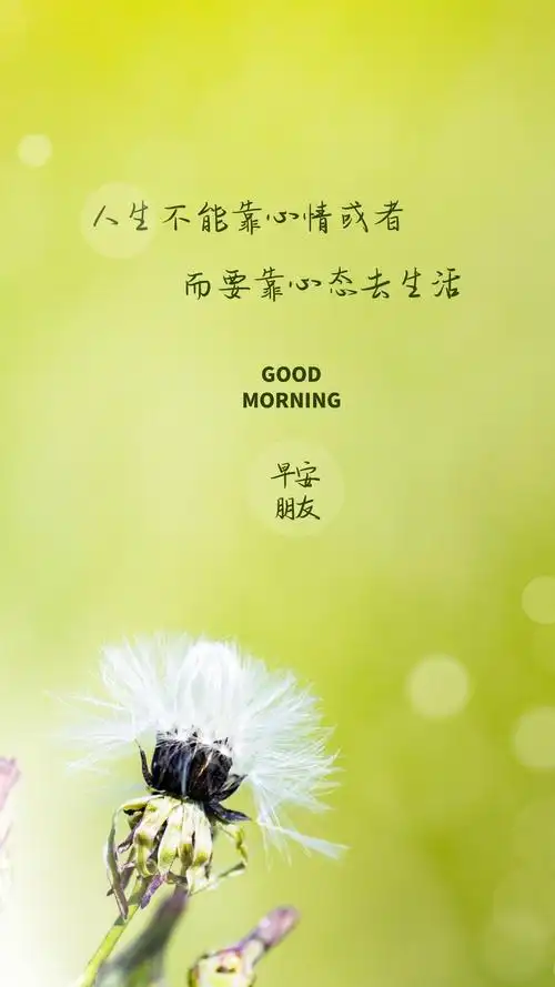 正能量早安成功句子配图努力生活积极向上
