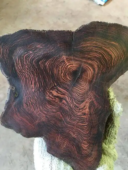 冒充黄花梨的紫油木到底是什么鬼?(二)