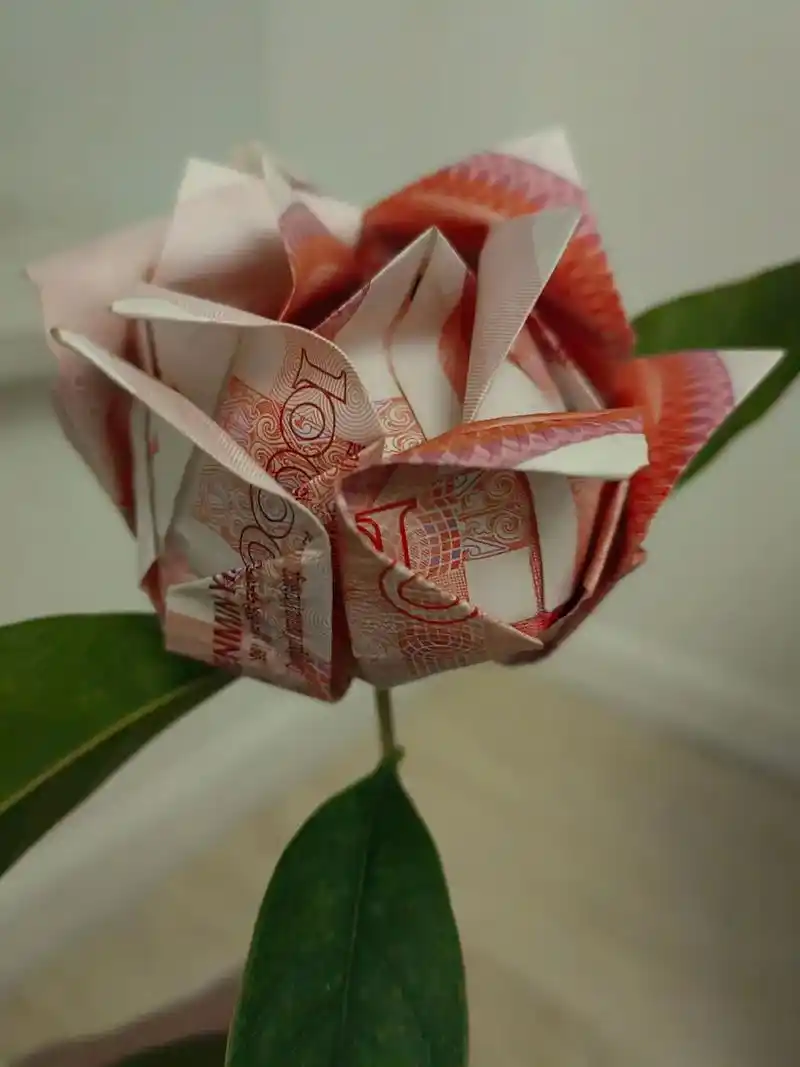 鲜花是诗和远方