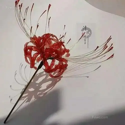 彼岸花微信头像图片大全女