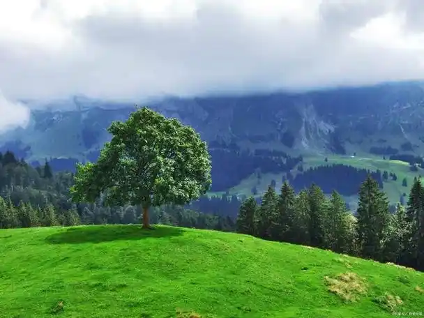 当我们走进大自然,沐浴在阳光,清新的空气和绿色的植被中时,我们能够