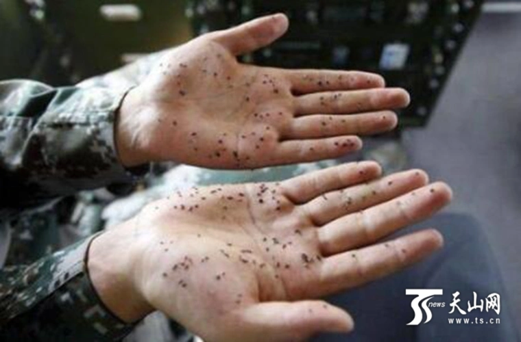 巡边者:每立方米1700只蚊子,我须寸步不移