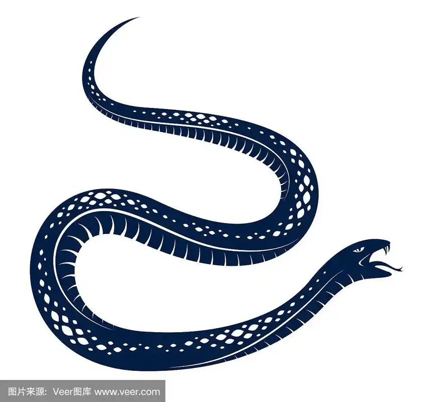 毒蛇复古纹身,攻击性食肉爬行动物矢量画,致命的毒蛇符号,复古风格