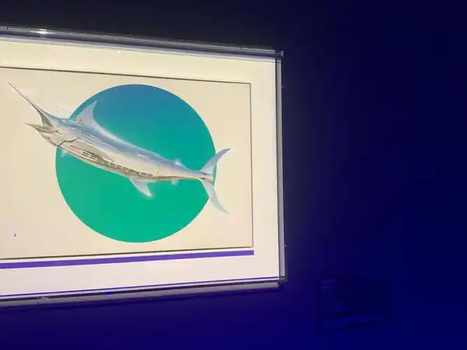 空山基鲨鱼领域