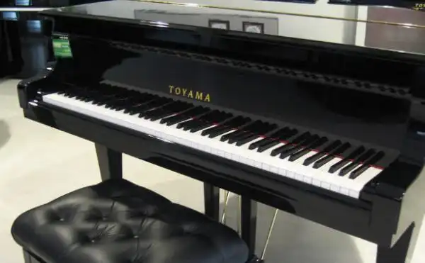 钢琴的黑键是干什么用的?