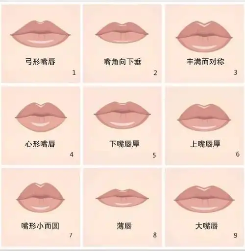 嘴唇的形状据说可以揭示你的个性.