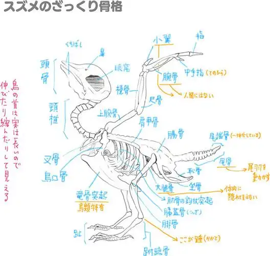 蓝铅笔快乐学 _ 哔哩哔哩相簿