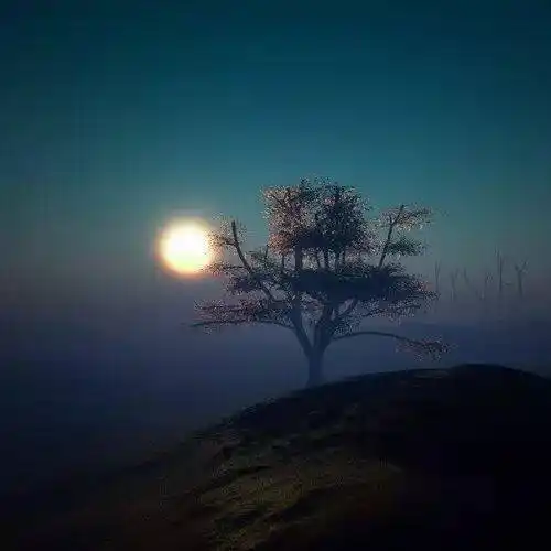 中老年头像大全: 微信头像男成熟稳重风景图片