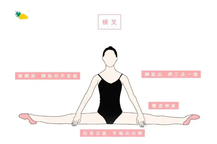 天使之舞中国舞基本功图解,太实用了!