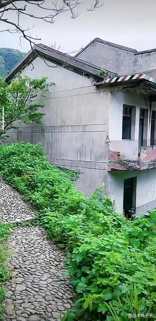 这是曾经拍摄《山村老尸》《食人岛》的地方——浙江舟山无人村