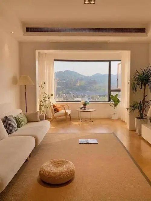 江苏48岁阿姨因房子很温馨而走红家里无一点俗气太治愈了