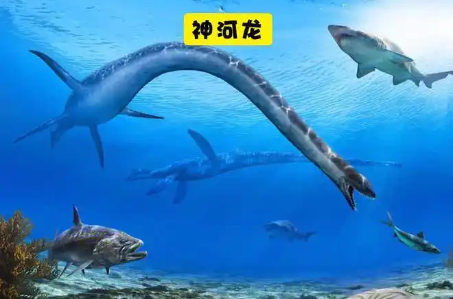 曾经在地球上出现过的10大巨型海洋恐龙