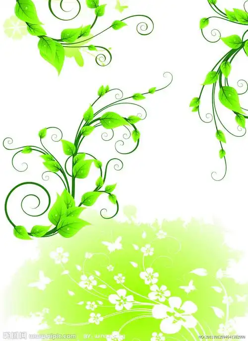 黑板报花边图案简单雪花边