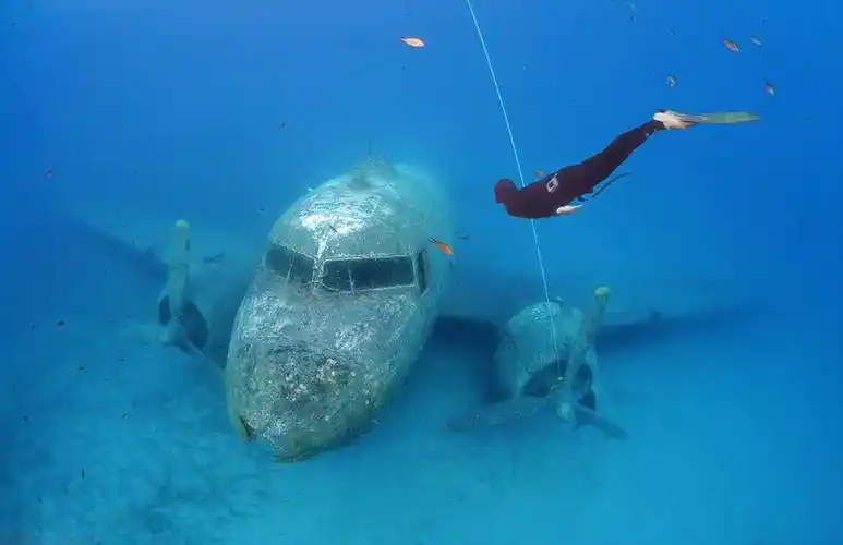 二战退役飞机沉睡海底成水下乐园(组图)【8】