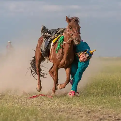 蒙古族那达慕传统马上拾物比赛
