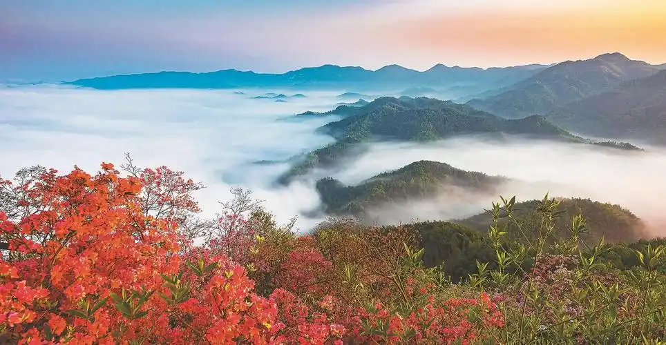 800公里风景道 "驾遇"多彩大别山