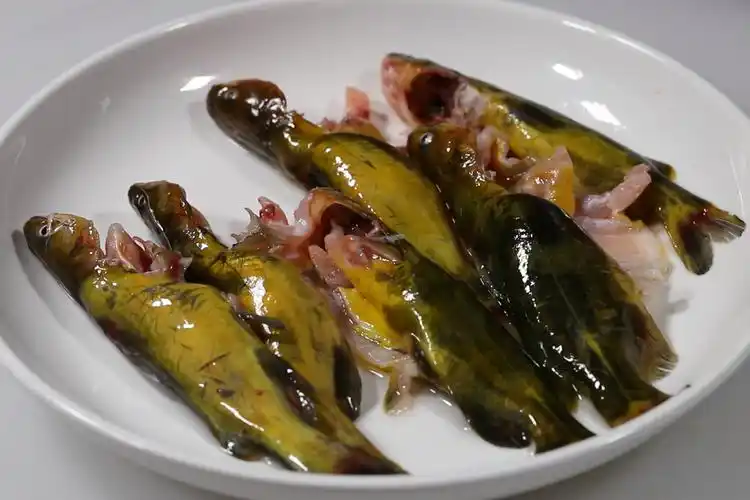 黄骨鱼最简单做法好吃又营养