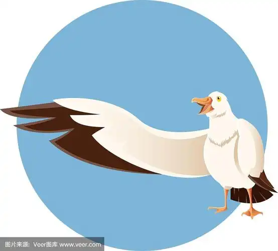 快乐的问候信天翁